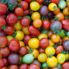 Tomates ronde charnue 1kg Bio