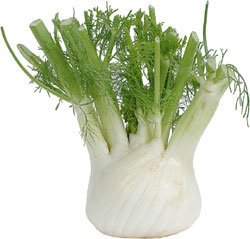 Fenouil 1 kg Bio