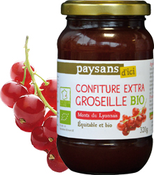 Confiture extra de groseilles des Monts du Lyonnais BIO 320 g