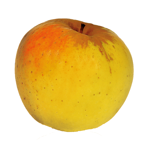 Pomme jaune Délisdor 1Kg Bio