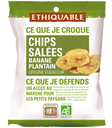 Chips salées banane plantain  85 g Bio