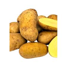 Pomme de terre primeur starlette 1Kg Bio