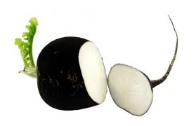 Radis noir long 1kg Bio