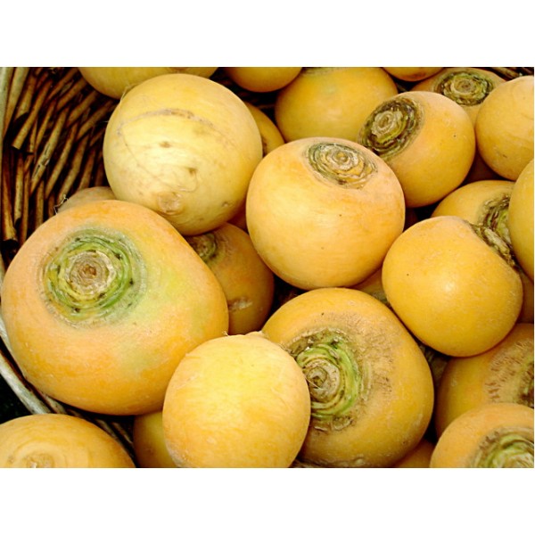 Navet rond nouveau violet 1Kg Bio 
