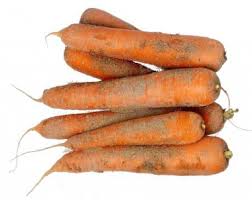 Carottes 1Kg Bio 