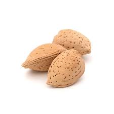 Amande en coque 1 kg bio