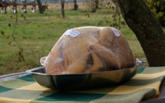 Pintade fermière PRIX AU KG