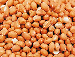 Arachides salées Vrac au kg Bio 