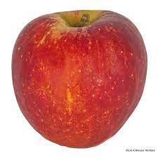 Pomme bicolore Galaxy ou Jonagold Bio
