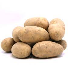 Pomme de terre Charlotte ou Bernadette Bio