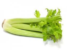 Céleri branche 1 kg Bio