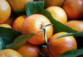 Mandarine Gold / Primosole / Safor 1 kg ETIC Bio