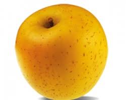 Pomme jaune (Golden) - Verger de F. - 1 kg