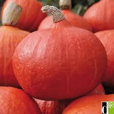 Courge Potimarron - Marty - 1 kg