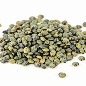 Lentilles vertes Vrac au kg Bio