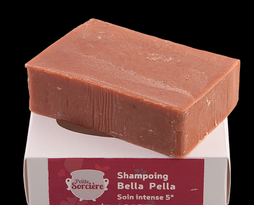 Shampoing solide cheveux fragiles 100 g Bio