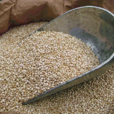 Quinoa Vrac au kg Bio