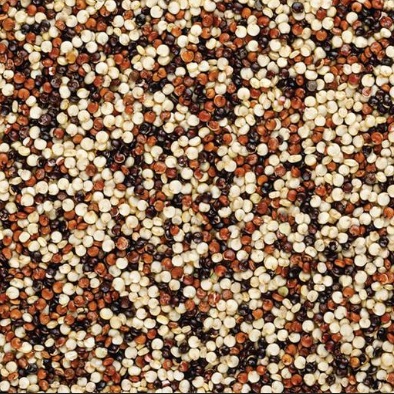 Trio de quinoa Vrac au kg Bio