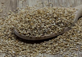 Graines de sésame blond complet Vrac au kg Bio