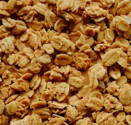 Granola agave miel Vrac au kg Bio