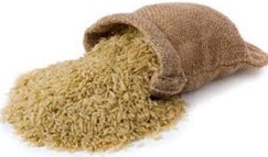 Riz long demi-complet Italie Vrac au kg Bio