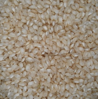 Riz rond demi-complet Italie Vrac au kg Bio