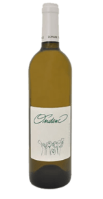 Vin blanc Domaine Plageoles Ondenc 75 cl Bio