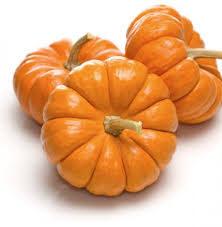Courge Jack be little Bio