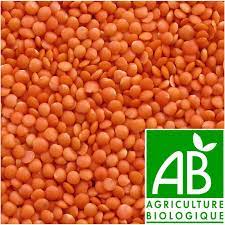 Lentilles corail Vrac au kg Bio