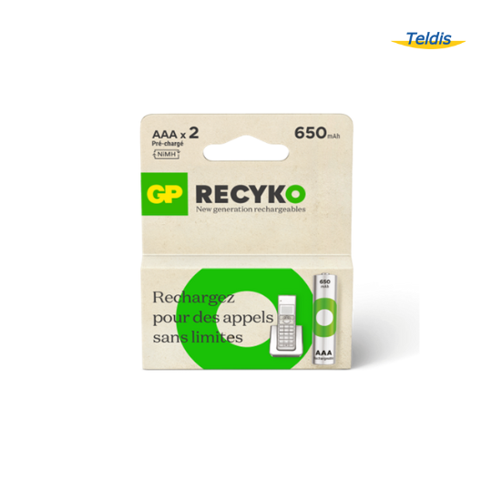 Pile rechargeable AAA X 2