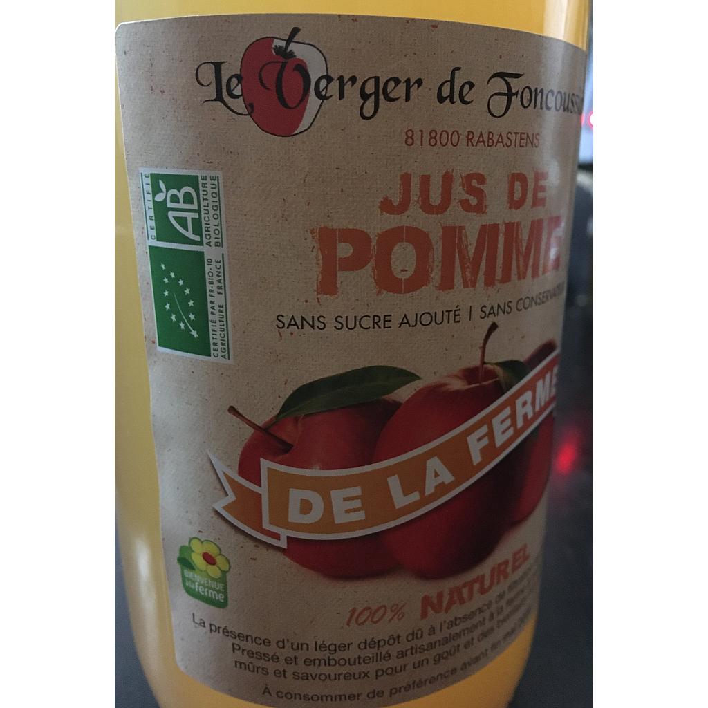 Jus de pomme Verger de F. 1 l Bio