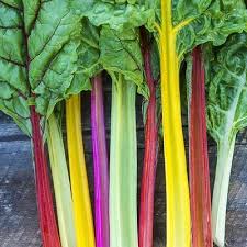 Blette verte ou couleur 1 kg Bio