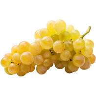 Raisin blanc Chasselas 1kg Bio