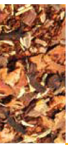 Rooibos Mélange citron-orange glacé Vrac au kg Bio
