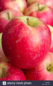 Pomme bicolore Juliet 1kg Bio 