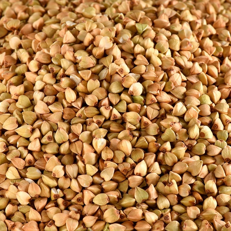 Sarrasin décortiqué Vrac au kg Bio