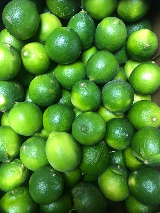 Citron vert (lime) 1 kg ETIC Bio 