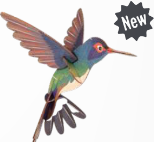 Mini maquette bois Colibri