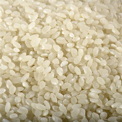 Riz rond blanc Delta de l'Ebre Vrac au kg Bio