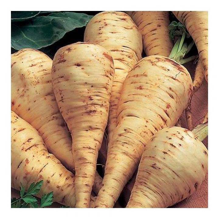 Panais - Marty - 1kg 