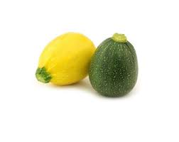 Courgette ronde - Jardins du Girou- Bio