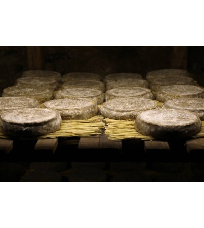 Saint Nectaire fermier AOP - Fabres Prix au KG