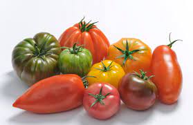 Tomate toute variété - Essor maraîcher - 1kg Bio