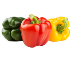 Poivron - Essor maraîcher - 1 kg Bio