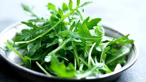 Roquette - Essor Maraîcher - 1 kg Bio