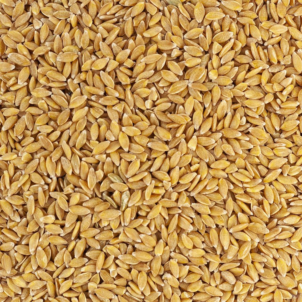 Petit épeautre décortiqué  Fermes de Chassagne Vrac Bio