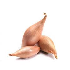 Echalion frais - Essor Maraîcher - 1 kg Bio