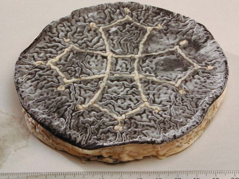 Cathare fromagerie de Cabriole 180 g